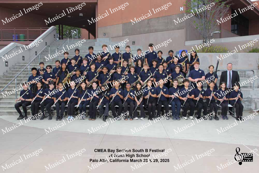 Musical Images